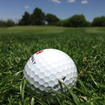 Coupe Le Galopin/Hinard